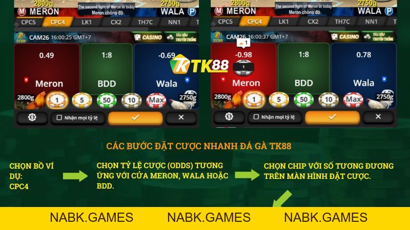 Đá Gà TK88 – Trực Tiếp Đá Gà Thomo Uy Tín #1 - nabk.games