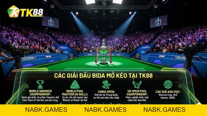 Cá Cược Bida – Trải Nghiệm Thể Thao Chính Xác & Tính Toán Tại TK88 - nabk.games