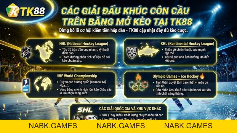 Cá Cược Khúc Côn Cầu Trên Băng – Trận Đấu Nhanh Và Hấp Dẫn Tại TK88 - nabk.games