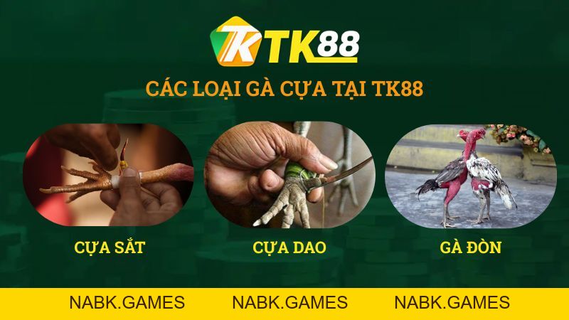 Đá Gà TK88 – Trực Tiếp Đá Gà Thomo Uy Tín #1 - nabk.games