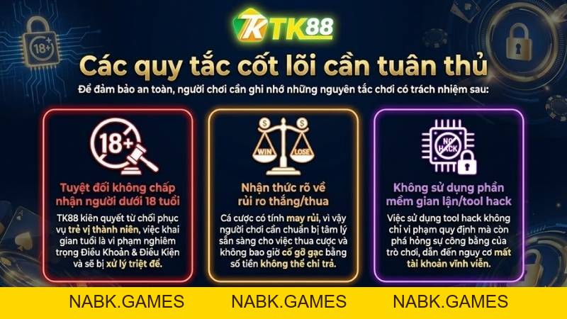 Chơi Có Trách Nhiệm TK88 – Giải Trí Lành Mạnh, An Toàn - nabk.games