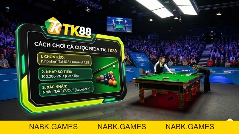Cá Cược Bida – Trải Nghiệm Thể Thao Chính Xác & Tính Toán Tại TK88 - nabk.games