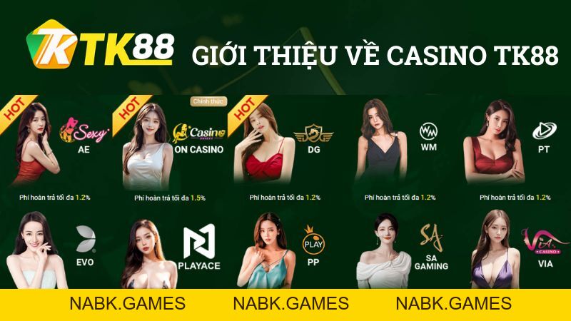 Casino TK88 – Sòng Bài Trực Tuyến Đẳng Cấp Hàng Đầu Châu Á - nabk.games