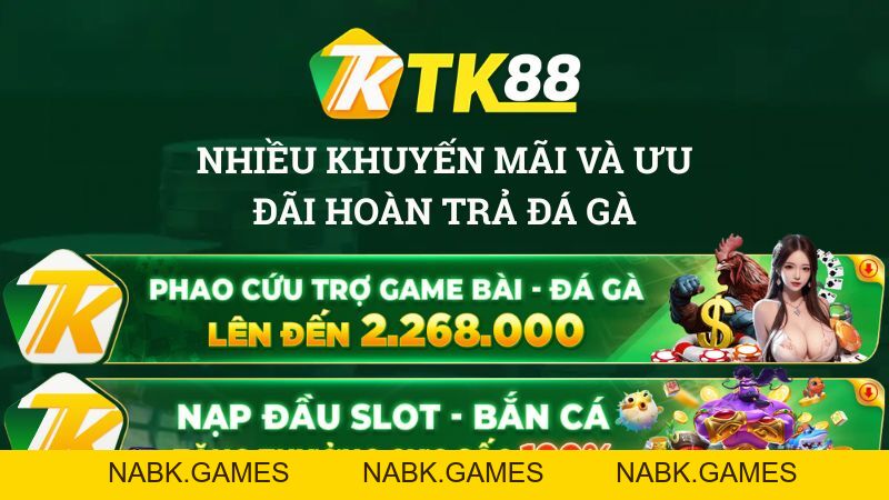 Đá Gà TK88 – Trực Tiếp Đá Gà Thomo Uy Tín #1 - nabk.games