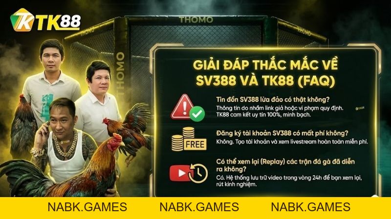 SV388 - Sảnh Đá Gà Trực Tiếp Đẳng Cấp Tại Nhà Cái TK88 [Link 2026] - nabk.games