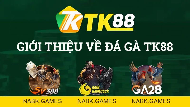Đá Gà TK88 – Trực Tiếp Đá Gà Thomo Uy Tín #1 - nabk.games