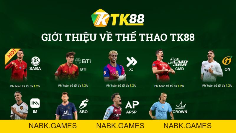 Thể Thao TK88 – Cá Cược Thể Thao Trực Tuyến Đỉnh Cao Châu Á - nabk.games