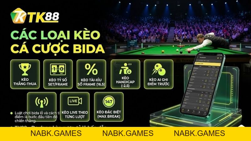 Cá Cược Bida – Trải Nghiệm Thể Thao Chính Xác & Tính Toán Tại TK88 - nabk.games
