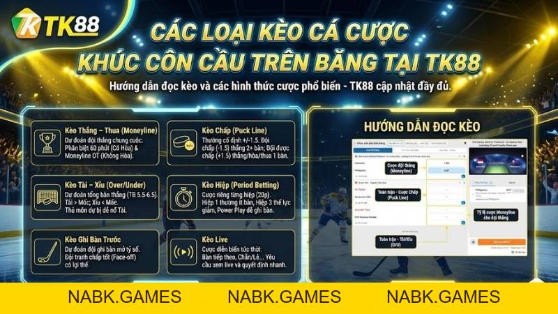 Cá Cược Khúc Côn Cầu Trên Băng – Trận Đấu Nhanh Và Hấp Dẫn Tại TK88 - nabk.games