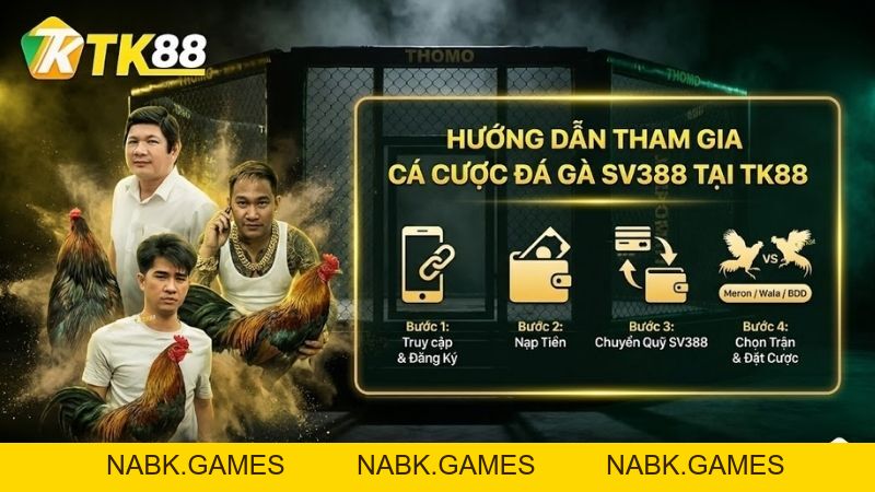 SV388 - Sảnh Đá Gà Trực Tiếp Đẳng Cấp Tại Nhà Cái TK88 [Link 2026] - nabk.games
