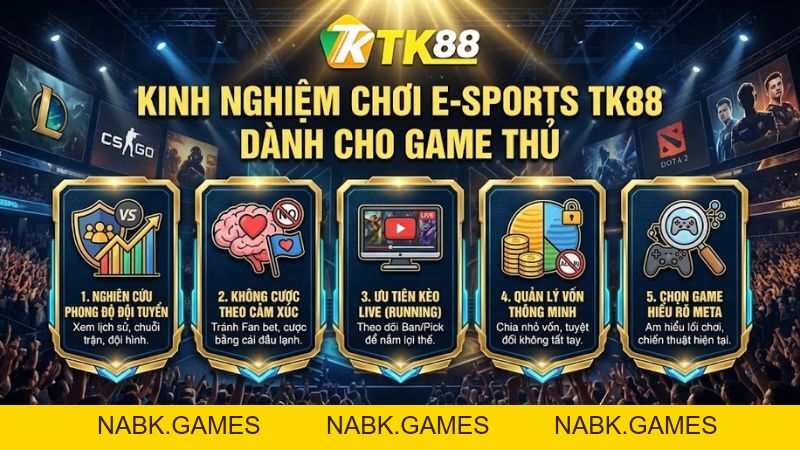E-Sports TK88 - Cá Cược Thể Thao Điện Tử Hàng Đầu Cho Game Thủ Việt - nabk.games