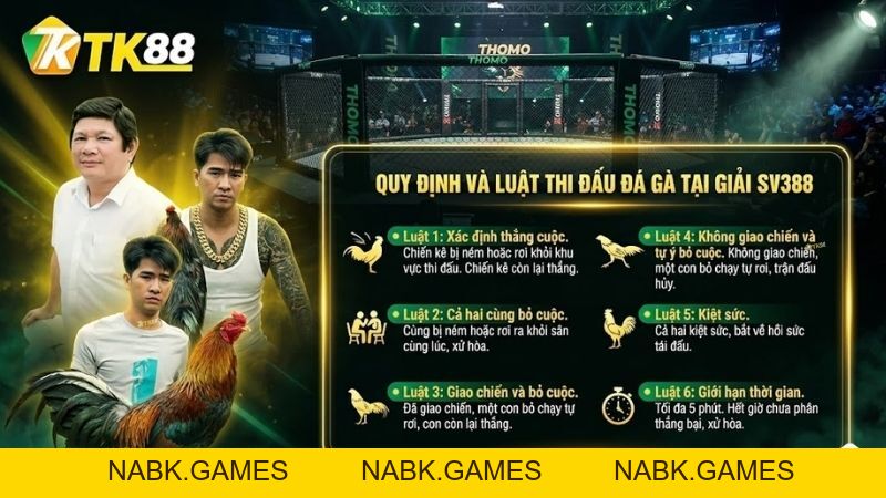 SV388 - Sảnh Đá Gà Trực Tiếp Đẳng Cấp Tại Nhà Cái TK88 [Link 2026] - nabk.games