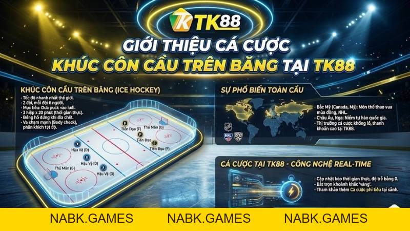 Cá Cược Khúc Côn Cầu Trên Băng – Trận Đấu Nhanh Và Hấp Dẫn Tại TK88 - nabk.games