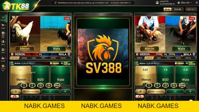 SV388 - Sảnh Đá Gà Trực Tiếp Đẳng Cấp Tại Nhà Cái TK88 [Link 2026] - nabk.games