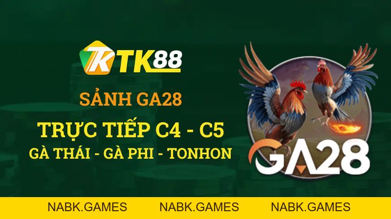 Đá Gà TK88 – Trực Tiếp Đá Gà Thomo Uy Tín #1 - nabk.games