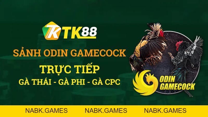 Đá Gà TK88 – Trực Tiếp Đá Gà Thomo Uy Tín #1 - nabk.games
