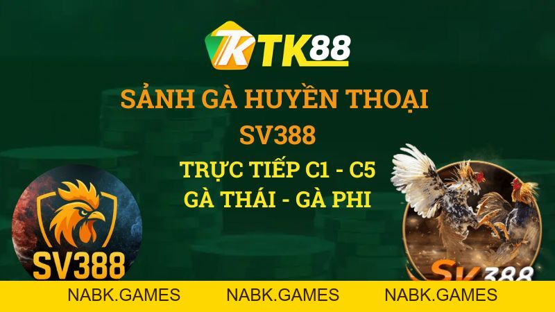 Đá Gà TK88 – Trực Tiếp Đá Gà Thomo Uy Tín #1 - nabk.games