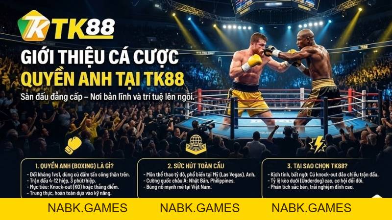 Cá Cược Quyền Anh – Môn Thể Thao Đối Kháng Đỉnh Cao Tại Nhà Cái TK88 - nabk.games