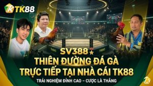 Đá Gà TK88 – Trực Tiếp Đá Gà Thomo Uy Tín  #1 - nabk.games
