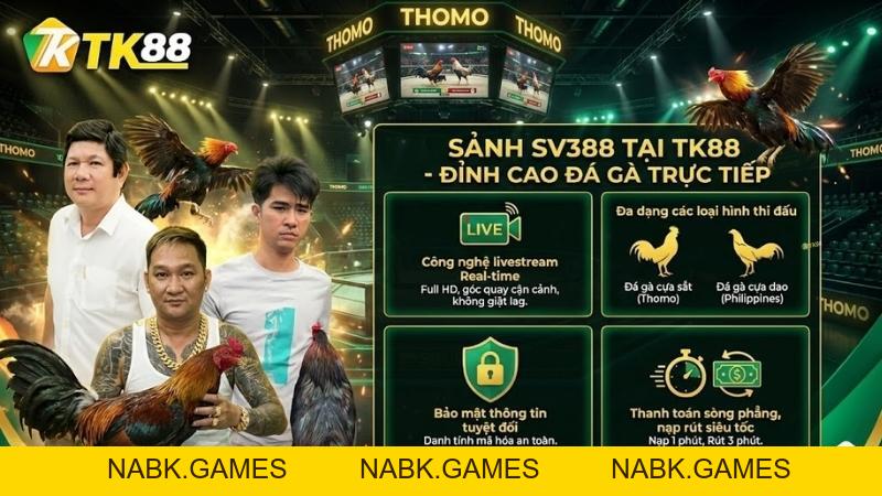SV388 - Sảnh Đá Gà Trực Tiếp Đẳng Cấp Tại Nhà Cái TK88 [Link 2026] - nabk.games