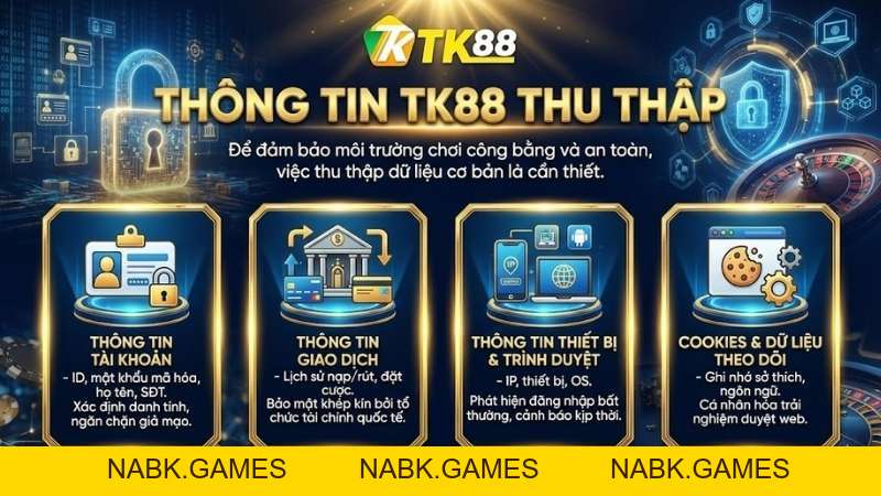 Chính Sách Bảo Mật TK88 – Cam Kết An Toàn Tuyệt Đối Cho Người Chơi - nabk.games