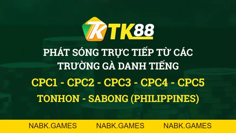 Đá Gà TK88 – Trực Tiếp Đá Gà Thomo Uy Tín #1 - nabk.games